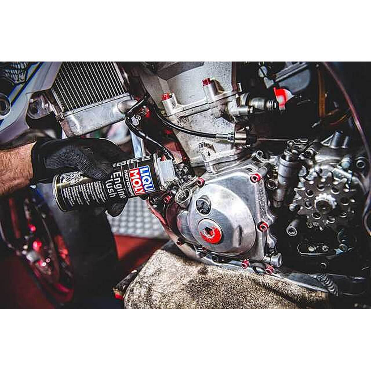 Aditivo Liqui Moly Limpeza de Motor Engine Flush 250ml