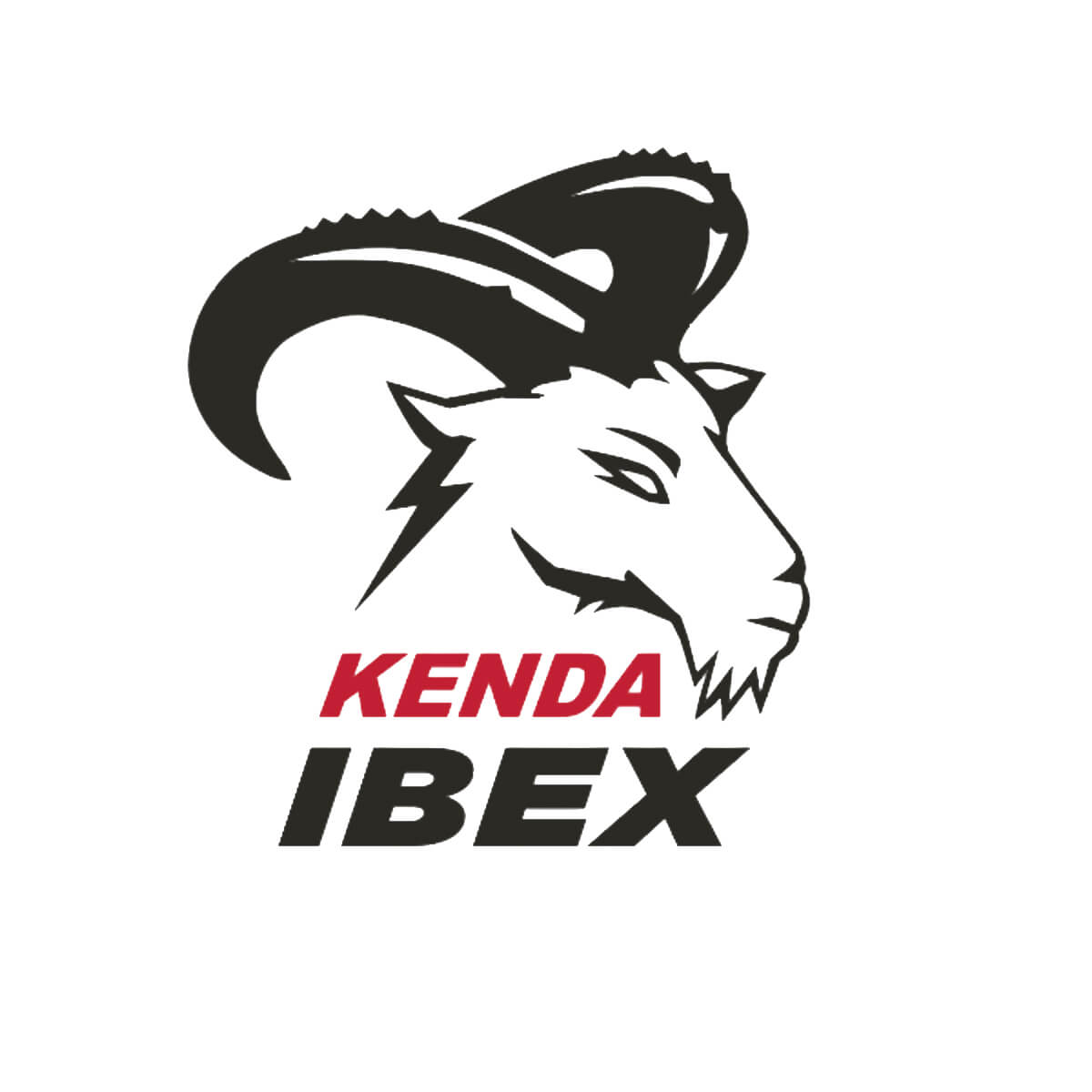 Pneu KENDA IBEX K774 120/100-18 68M TT SUPER SOFT