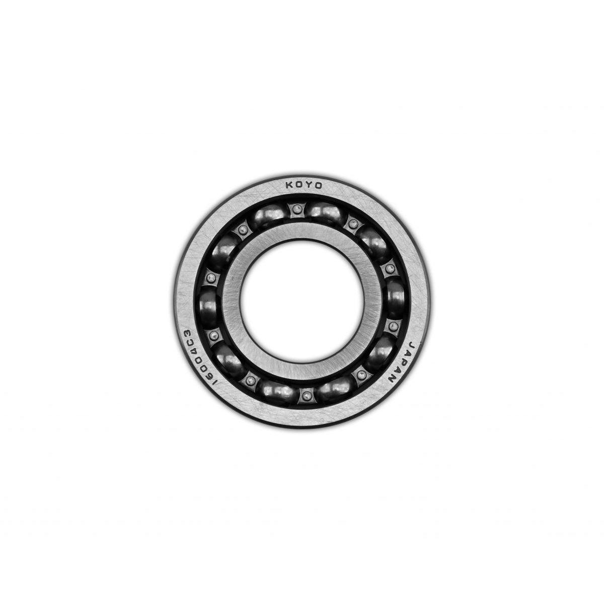 KOYO16004C3.jpg