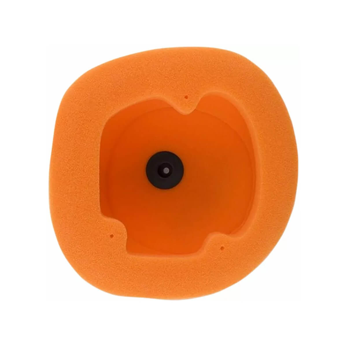 Filtro de Ar BETA 2004-2019 Twin Air