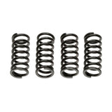Kit Molas Embraiagem Yamaha XV Virago 125/ 250