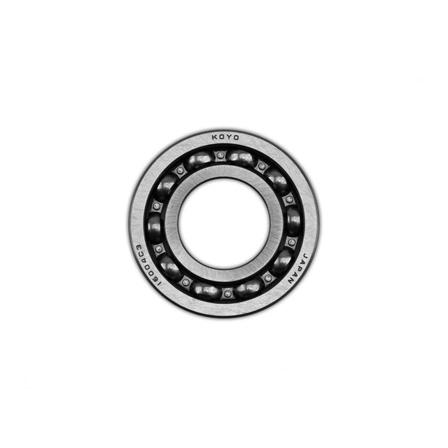 KOYO16004C3.jpg