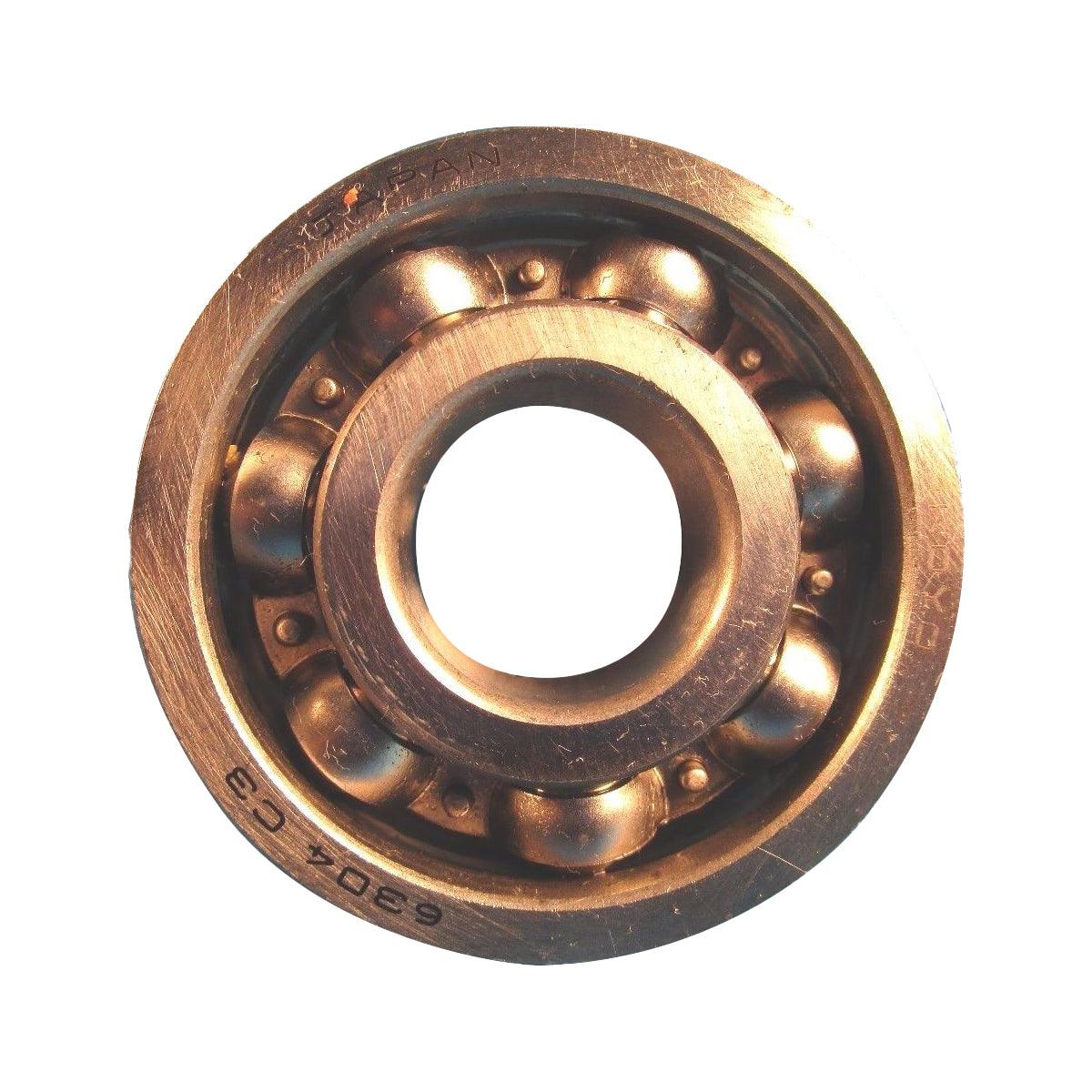 KOYO6304C3.jpg