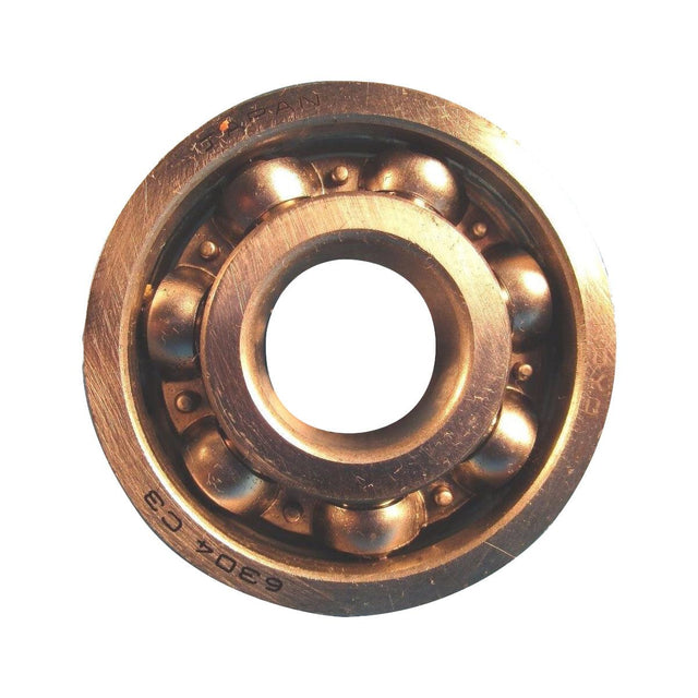 KOYO6304C3.jpg